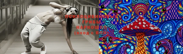 гидропоника Новодвинск
